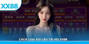 Các loại soi cầu tài xỉu xx88