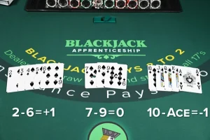 How to Count Cards in Blackjack New
